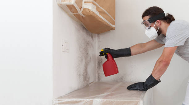 Professional Mold Remediation technician working in Roxbury Crossing, MA